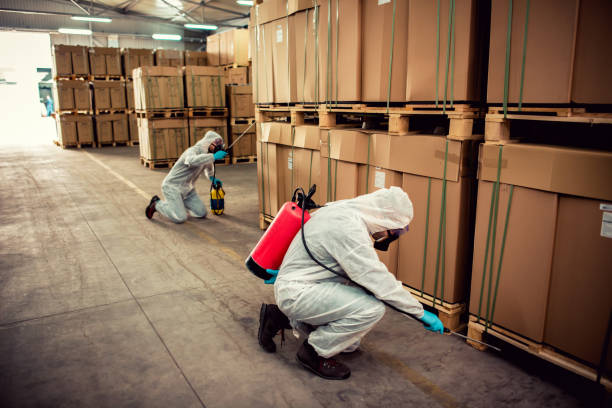 Best Mosquito Control Services  in Old Mystic, CT