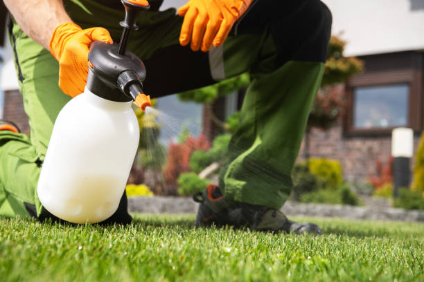 Best Pest Inspection Near Me  in Old Mystic, CT