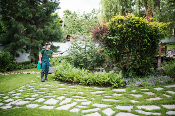 Best Ant Control Services  in Old Mystic, CT