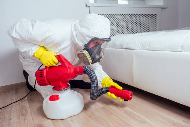 Best Local Pest Control Services  in Old Mystic, CT