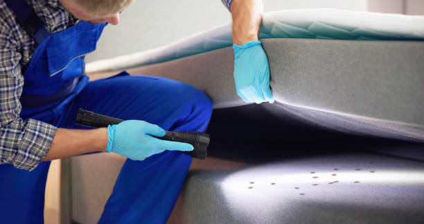 Best Best Pest Control Companies  in Old Mystic, CT