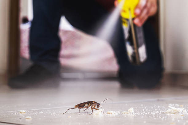 Best Pest Prevention Services  in Old Mystic, CT