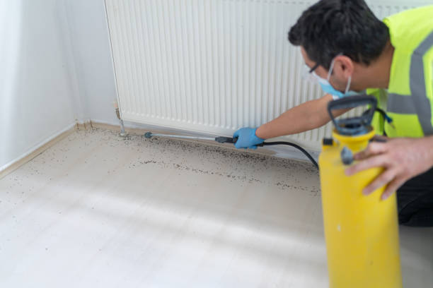 Best Exterminator Services  in Old Mystic, CT