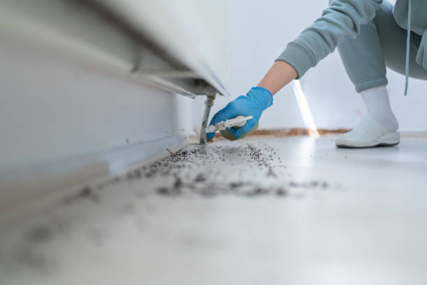 Best Wildlife Control Services  in Old Mystic, CT