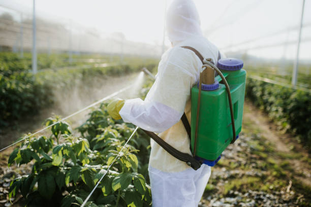 Best Emergency Pest Control  in Old Mystic, CT